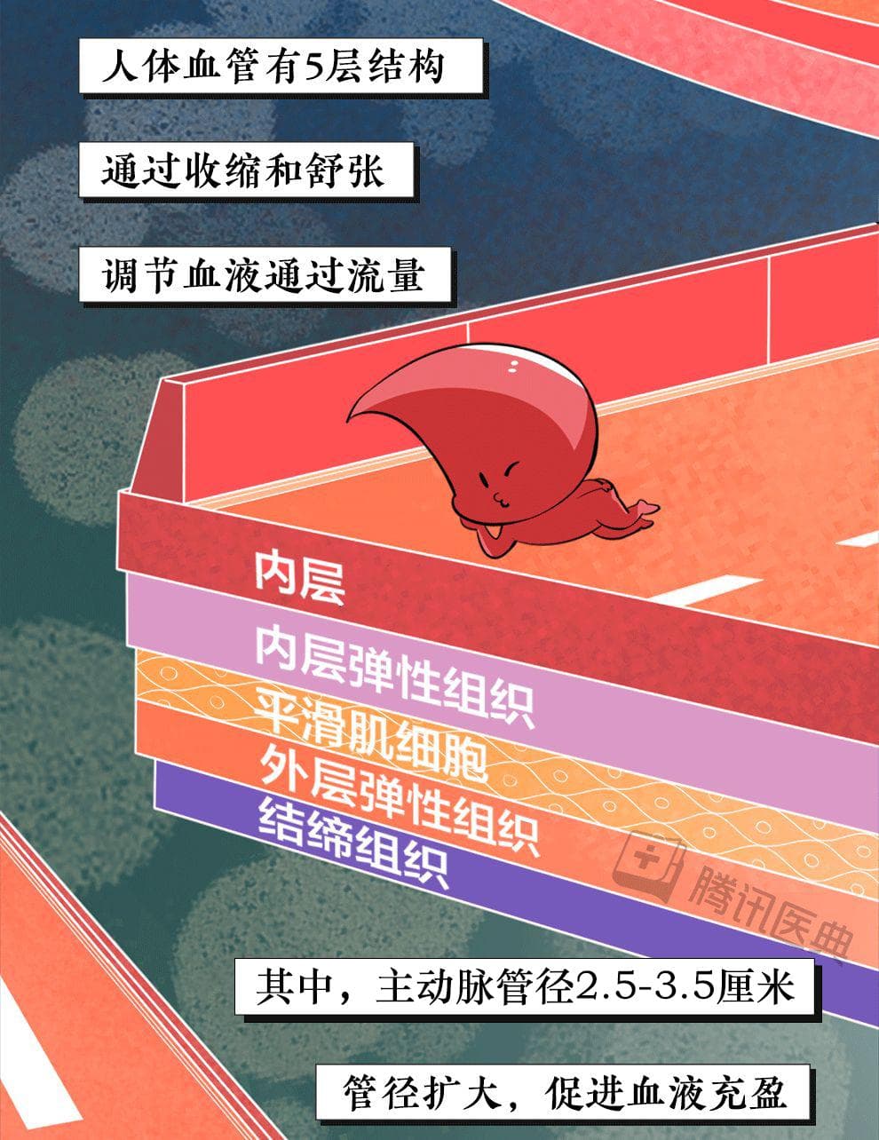 成年人血管堵塞全过程曝光
