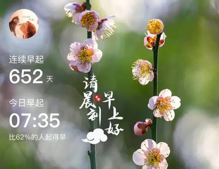 从《哪吒2》中看到的：成长、传承与人性的光芒