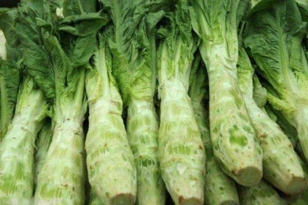 莴苣的营养价值与食用功效