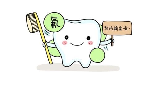 磨牙在人类牙齿中的功能与作用详解