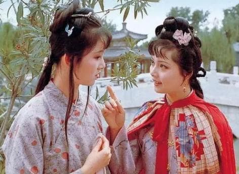 《红楼梦》：理想与现实的交织