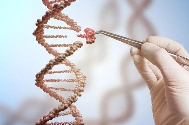 《Nature》发布2024年度七大科学技术，生命科学和医学领域持续领跑