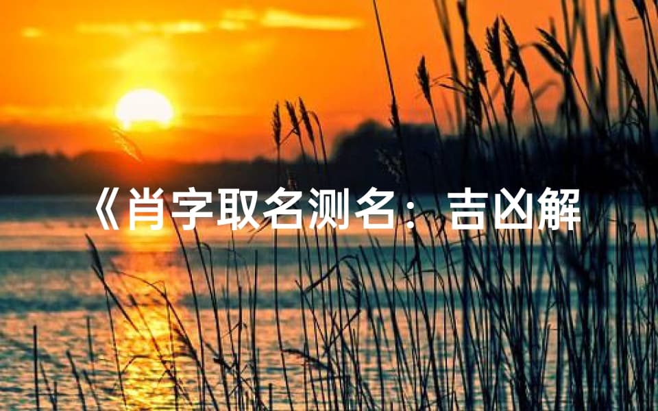 《肖字取名测名：吉凶解释全解析》