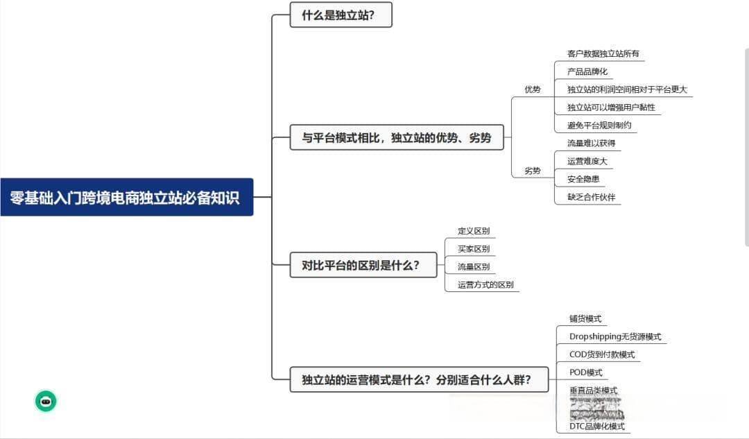 中国商家出海指南：独立站与电商平台模式对比分析
