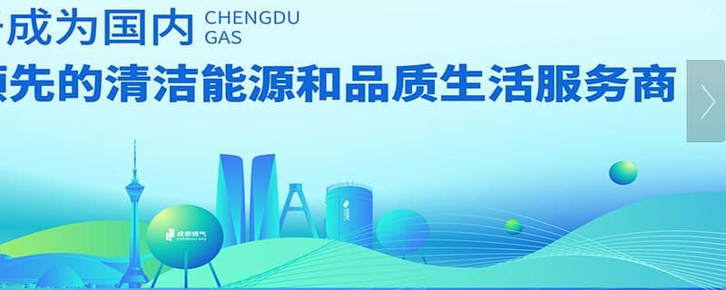 新疆火炬深度分析：估值几何，投资价值几何？