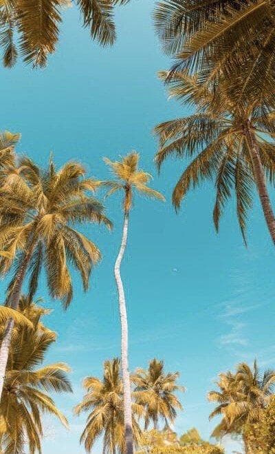 家居设计：现代简约风格的实用与美感