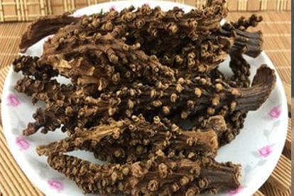 虎鞭草的功能和作用图片