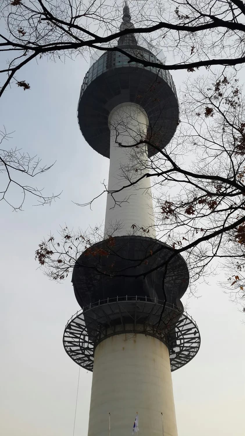 成都大熊猫基地最新开放时间，乐乐带你玩转熊猫塔
