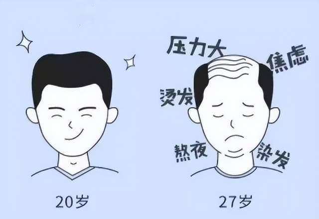 脱发怎么调理？让头发重新长出来的方法