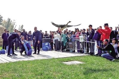 来这6个地方看鸟 北京市首批观鸟基地发布