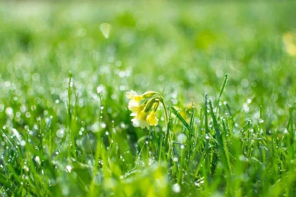 雨水节气：25首经典诗词，每一首都值得品味