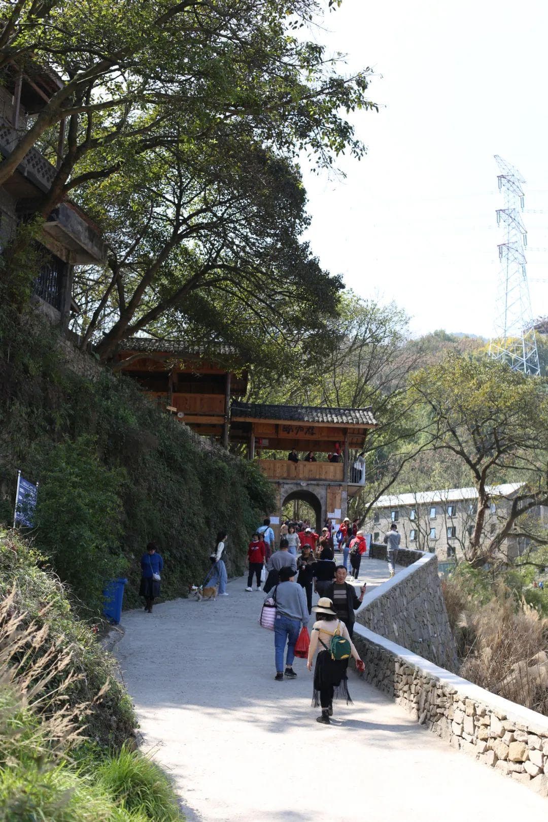 北碚巡江步道：一条与众不同的沿江风光之旅