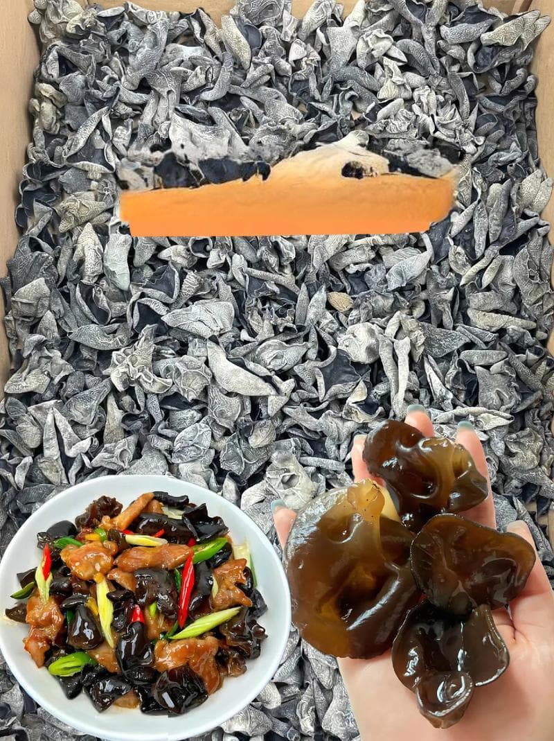 如何判断干木耳变质了
