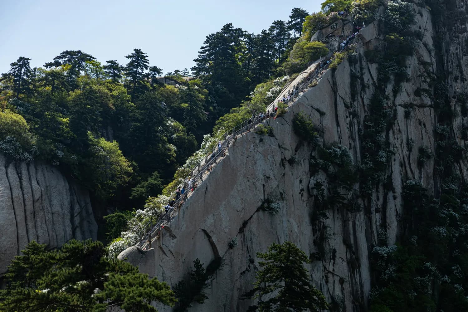 杭州黄山文化游：最新优惠大揭秘！
