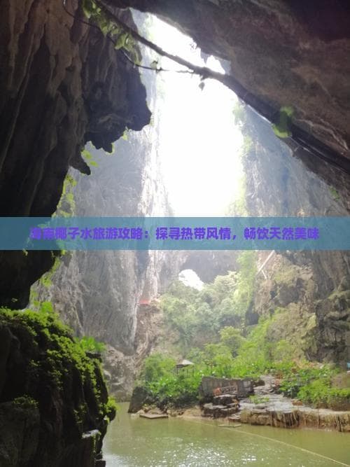 海南椰子水旅游攻略：探寻热带风情，畅饮天然美味