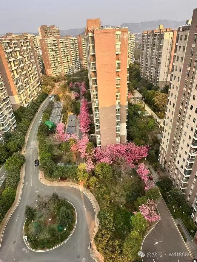 "上午春分雨不愁，下午春分满天旱"：解读这句流传千年的农谚