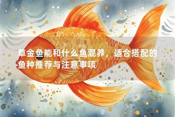 草金鱼能和什么鱼混养，适合搭配的鱼种推荐与注意事项