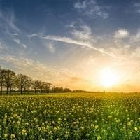 巴西的地理位置及气候特征