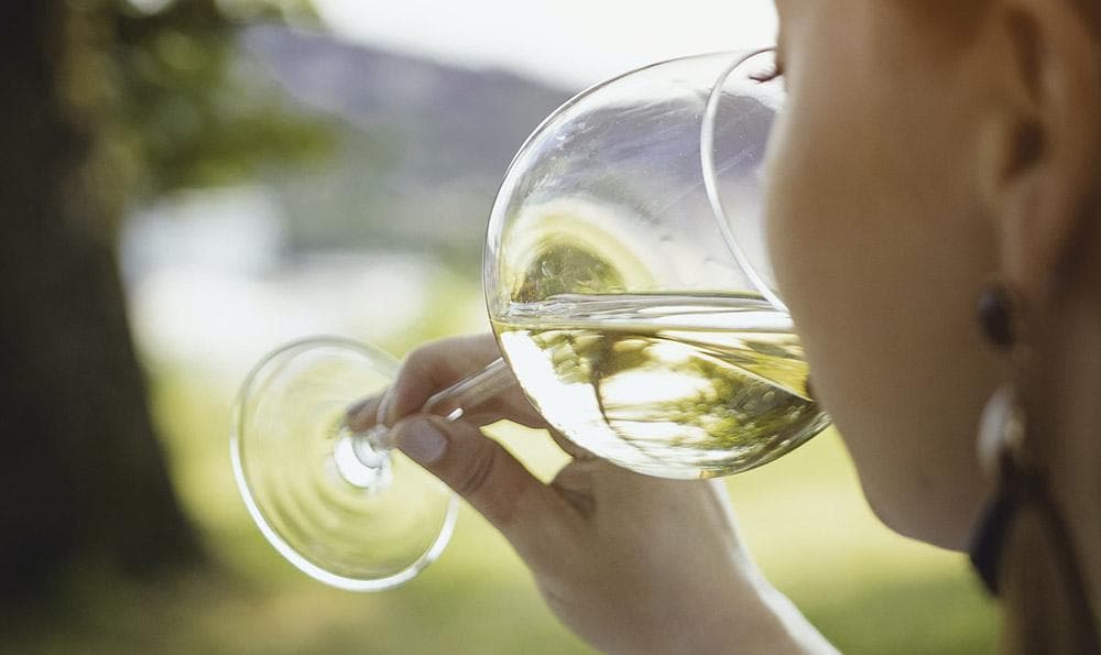 三种葡萄酒的特点：霞多丽、山葡萄酒与干葡萄酒