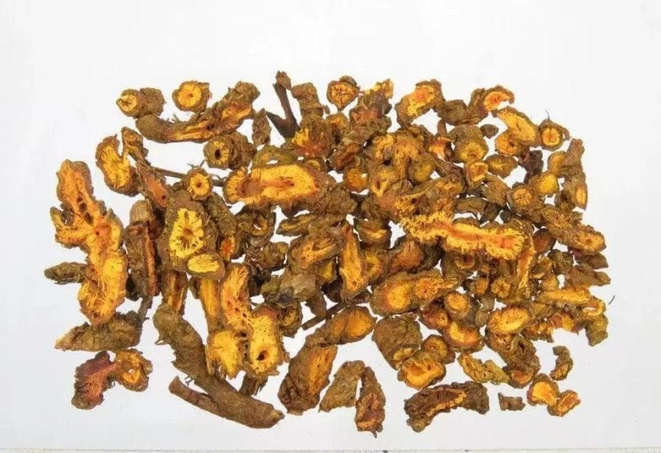 黄连，最善于清胃肠之湿热