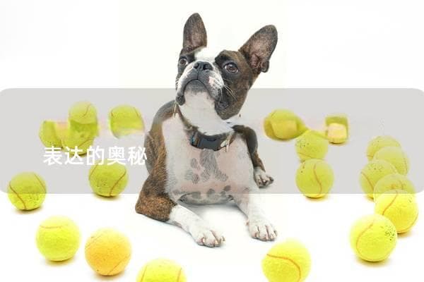 狗狗为什么会摇尾巴？探索它们情感表达的奥秘