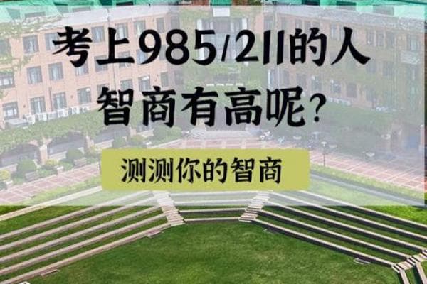 如何准确测量自己的智商水平与方法探讨