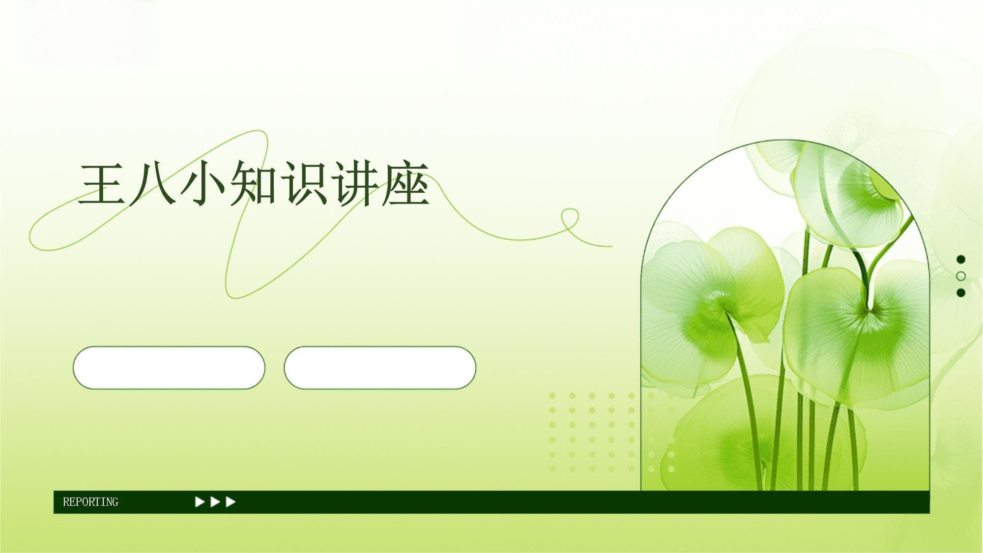 王八小知识讲座