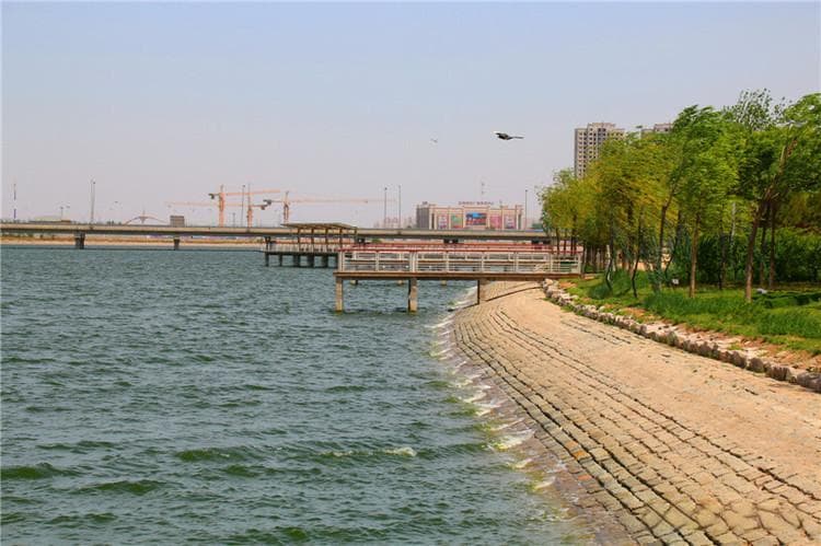 天津塘沽：十大免费公园串串烧，海滨森林各展风采