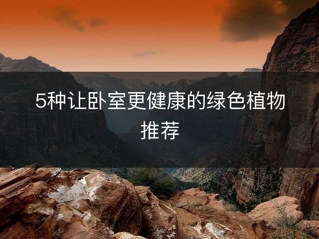 5种让卧室更健康的绿色植物推荐