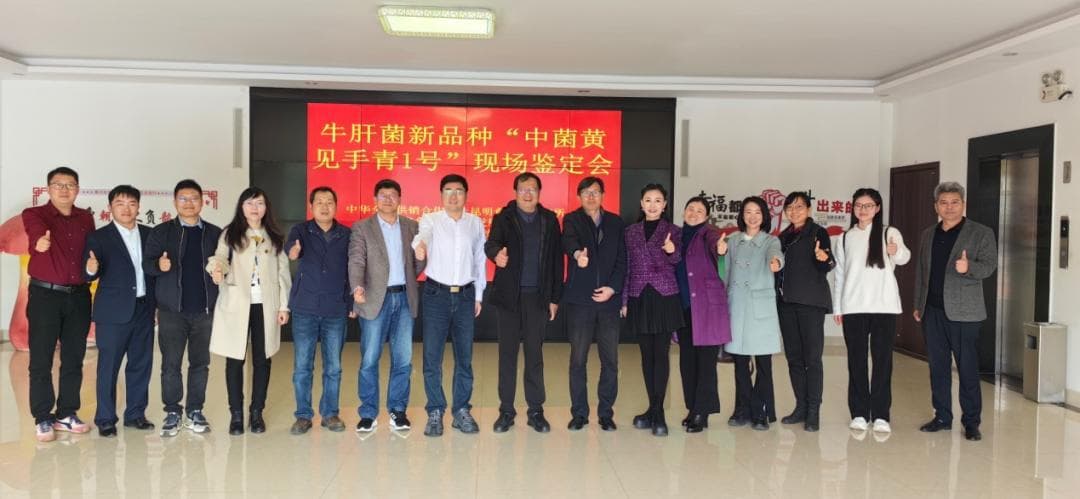 人人都爱的“见手青”一年四季都能吃上了！