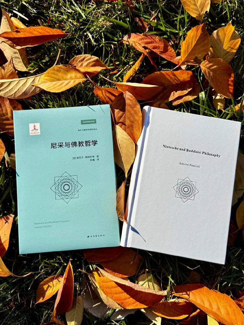 作为反佛陀者的尼采
