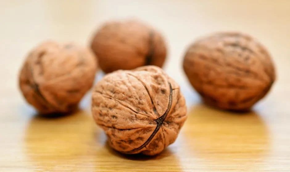 孩子多吃核桃能补脑，这是真的吗？