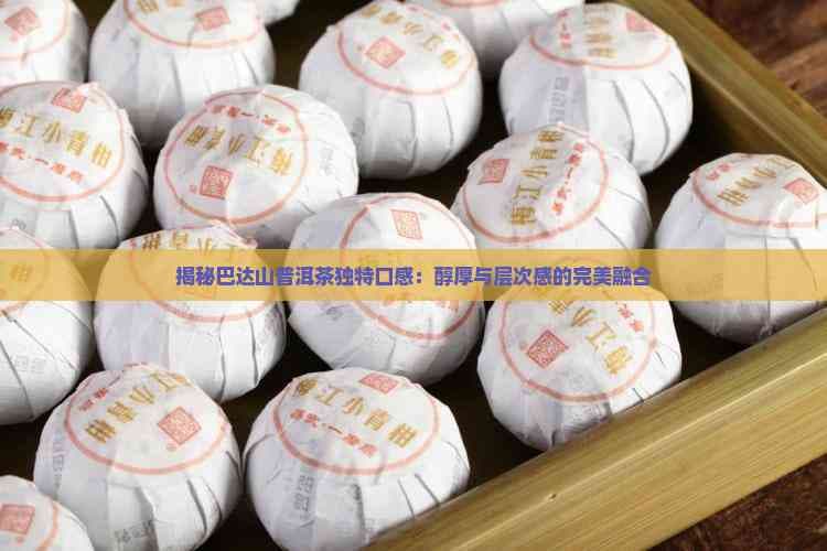 巴达山普洱茶：醇厚与层次感的完美融合