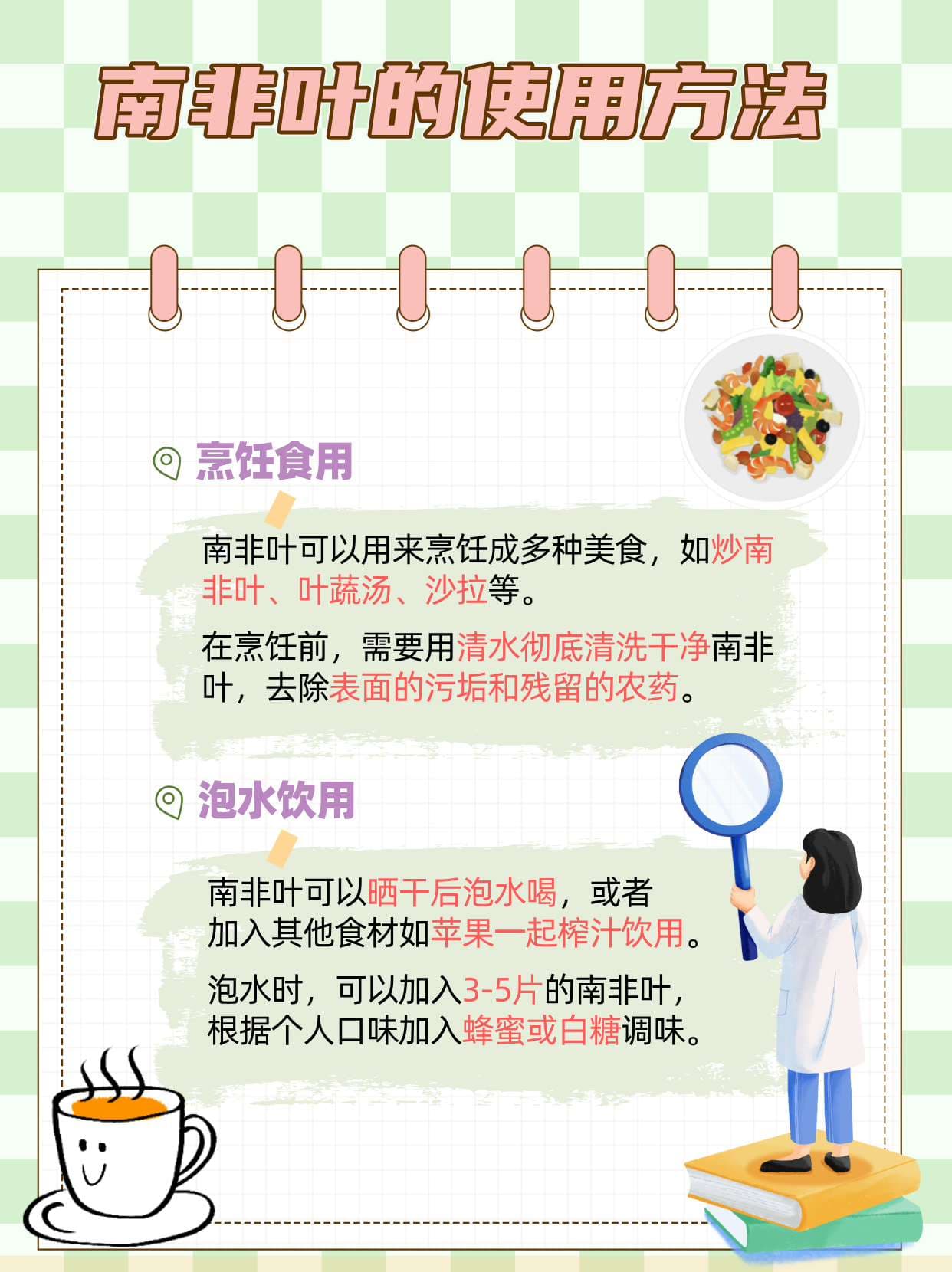 南非叶：天然草本的健康益处与食用指南
