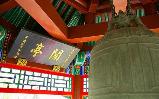 985高校排行榜出炉：顶尖学府学术竞争力与人才培养深度解析