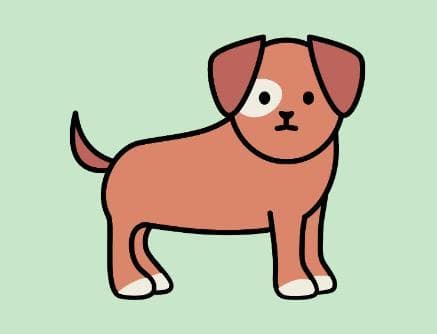 比特犬的性格特征及饲养指南