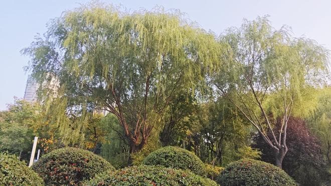 如何理解“从心所欲不逾矩”的境界？