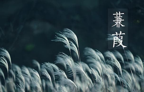 诗经产品命名：文化传承与创新在产品名称中的应用