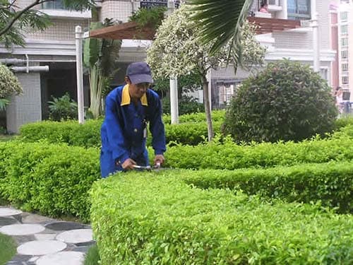 别墅绿化养护工具全攻略