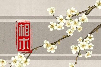 眉骨高男人：面相透露的性格与命运密码