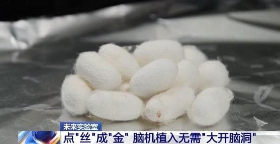 脑机接口！探秘脑科学的无限可能