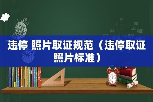 车辆违停取证照片标准全解析