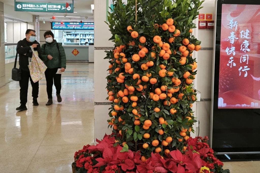 如何科学防治流感？莫因流感引发意外 谨记“四要点”