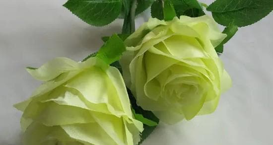 什么花代表道歉？了解道歉花语的正确选择是什么？