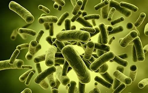 如何给宝宝补充益生菌？这份科学指南请收好