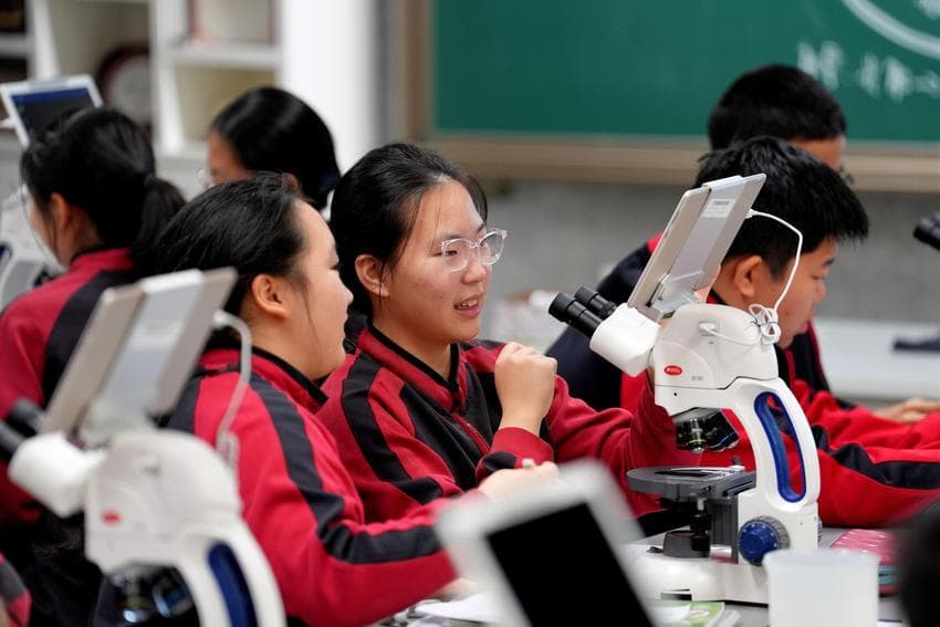 张洁：搭建以“五育融合”为基础的跨学科课程体系