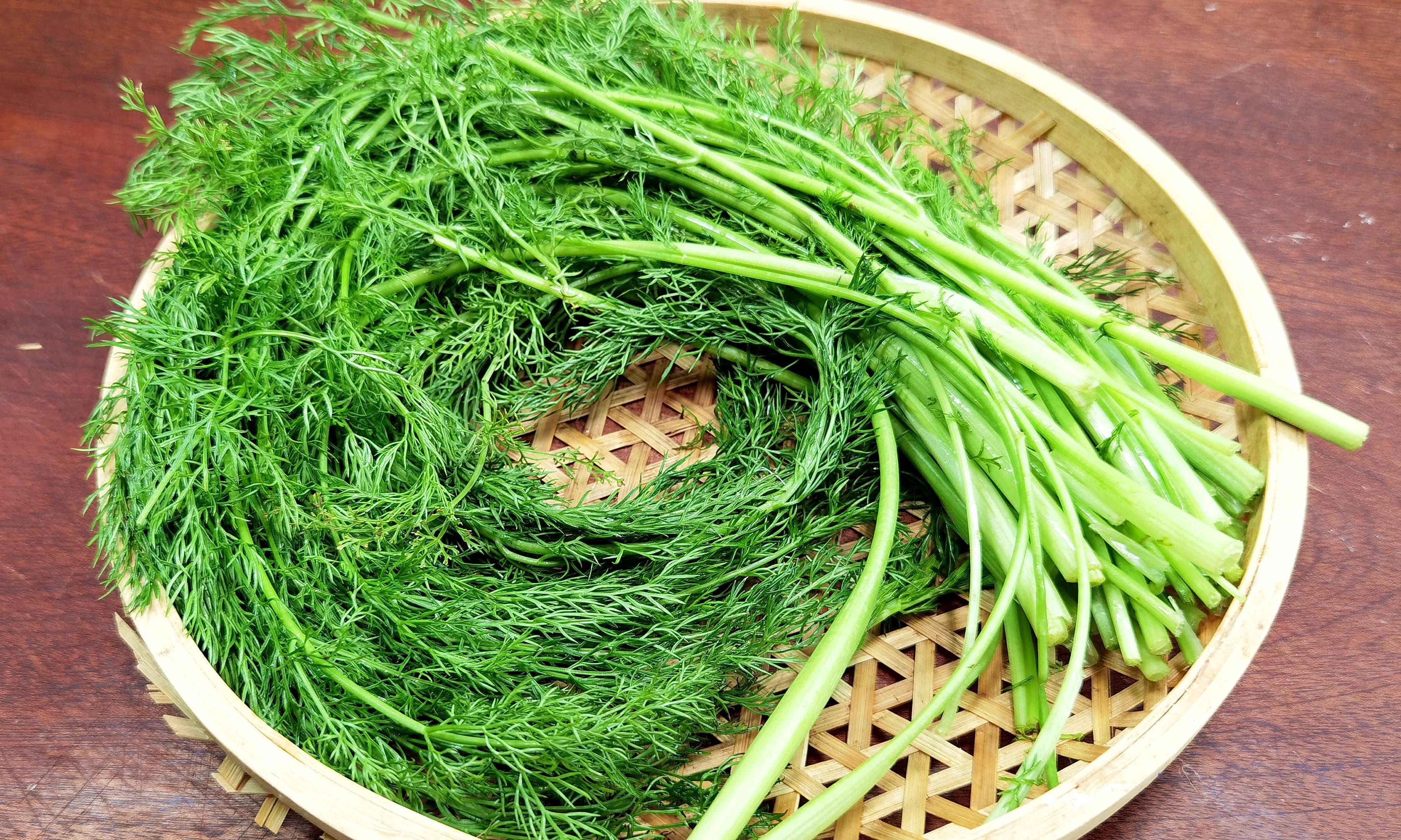 春天，这菜使劲吃！一祛湿、二健脾胃、三助睡眠，鲜嫩营养正当季