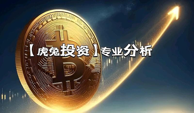 鹏博士财务造假始末