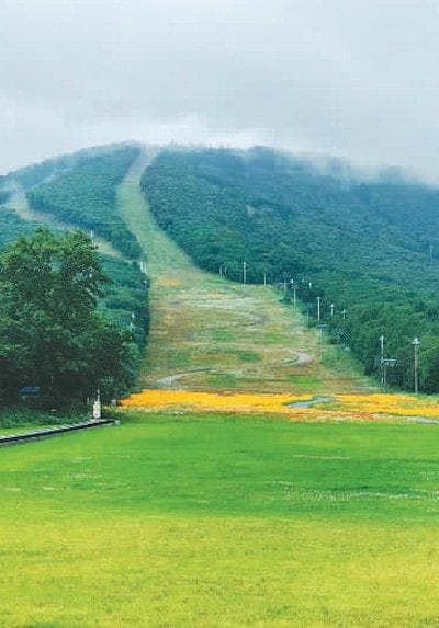 滑雪场的夏天