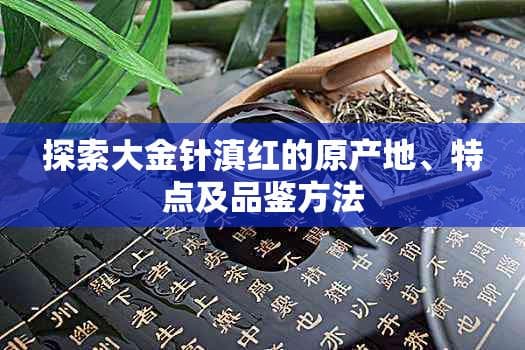 大金针滇红：原产地、特点及品鉴方法全解析